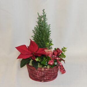 Julkorg med julstjärna